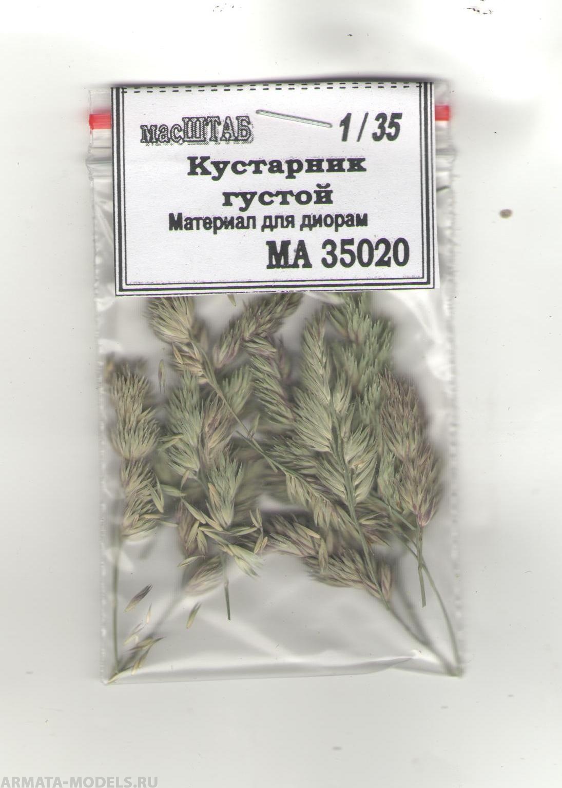 35020 кустарник густой летний