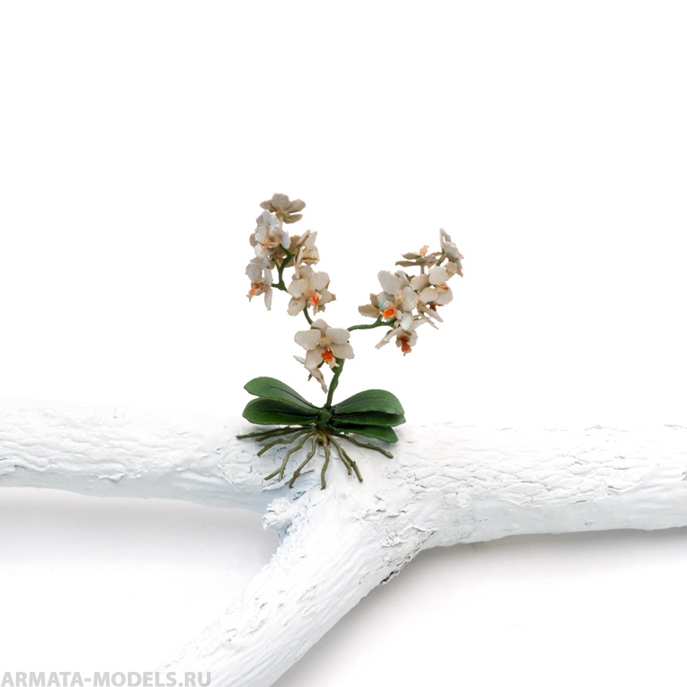 S175MWP Орхидея, размер M